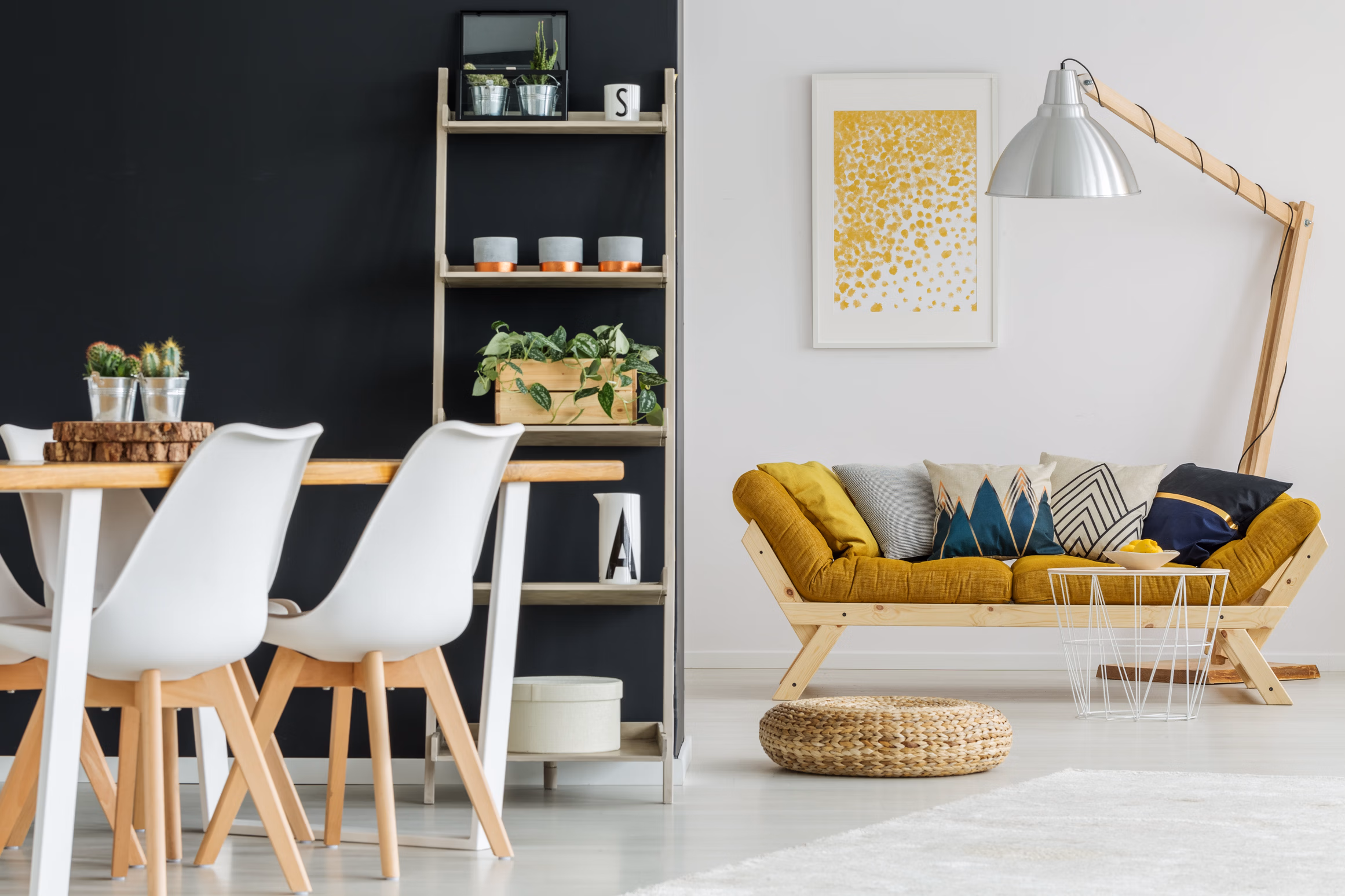 Looking for home decor ideas on a budget?