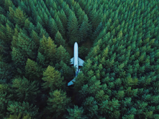 Pinelands at a glance