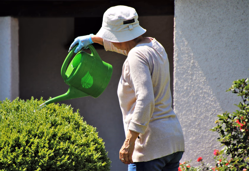 The climate and soil in Pinetown are perfect for cultivating lush gardens