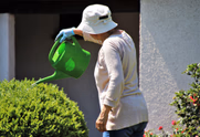 The climate and soil in Pinetown are perfect for cultivating lush gardens