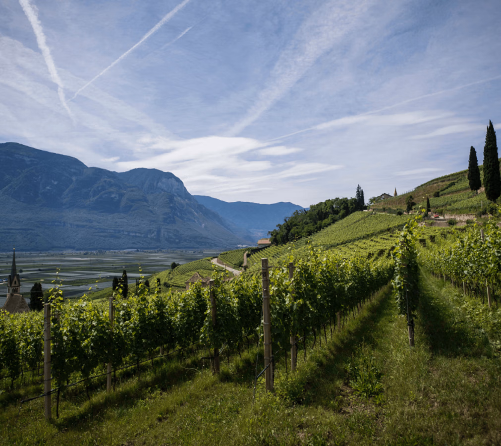 Constantia, Cape Town