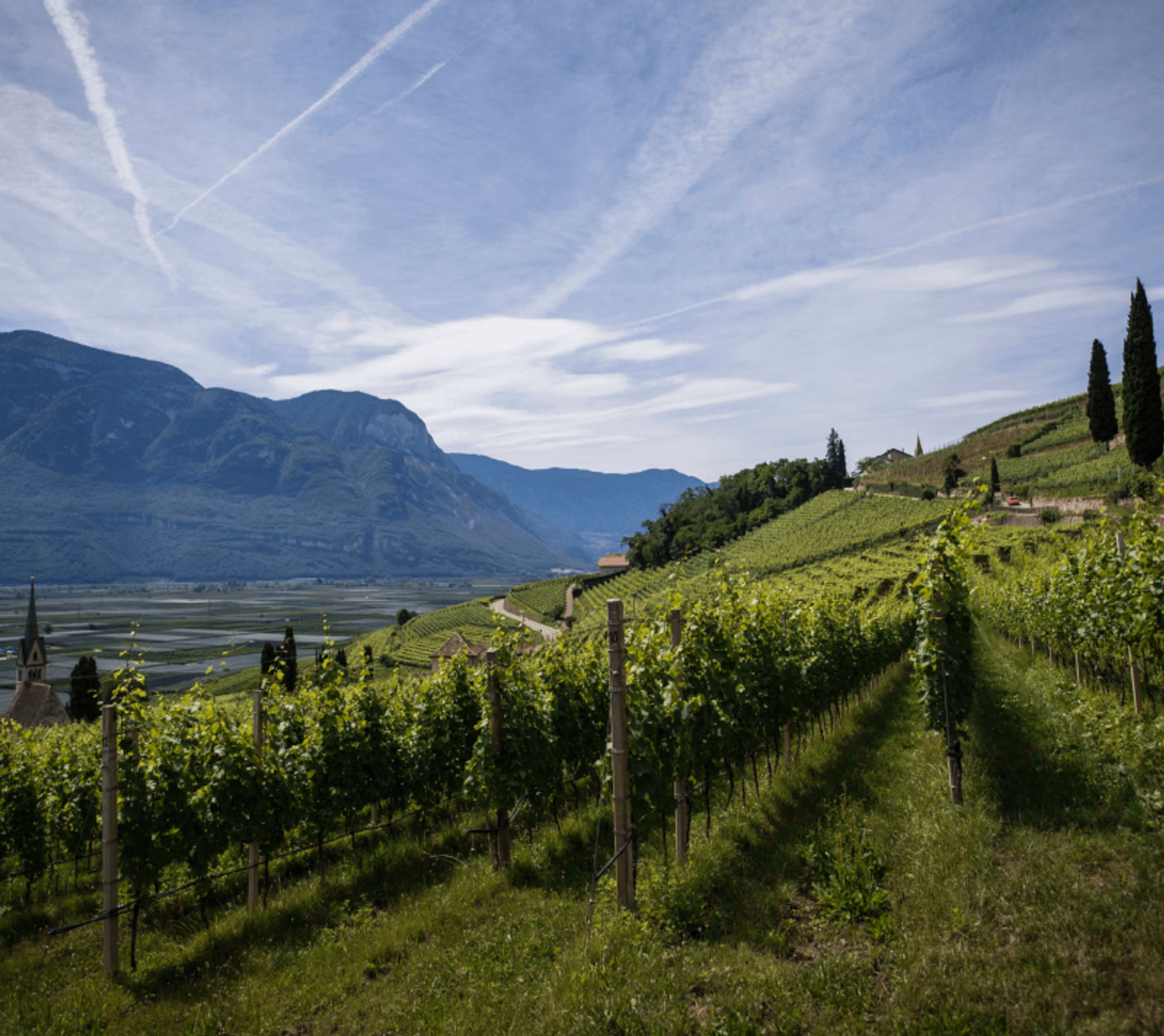 Constantia, Cape Town