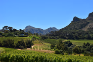 Cape Town