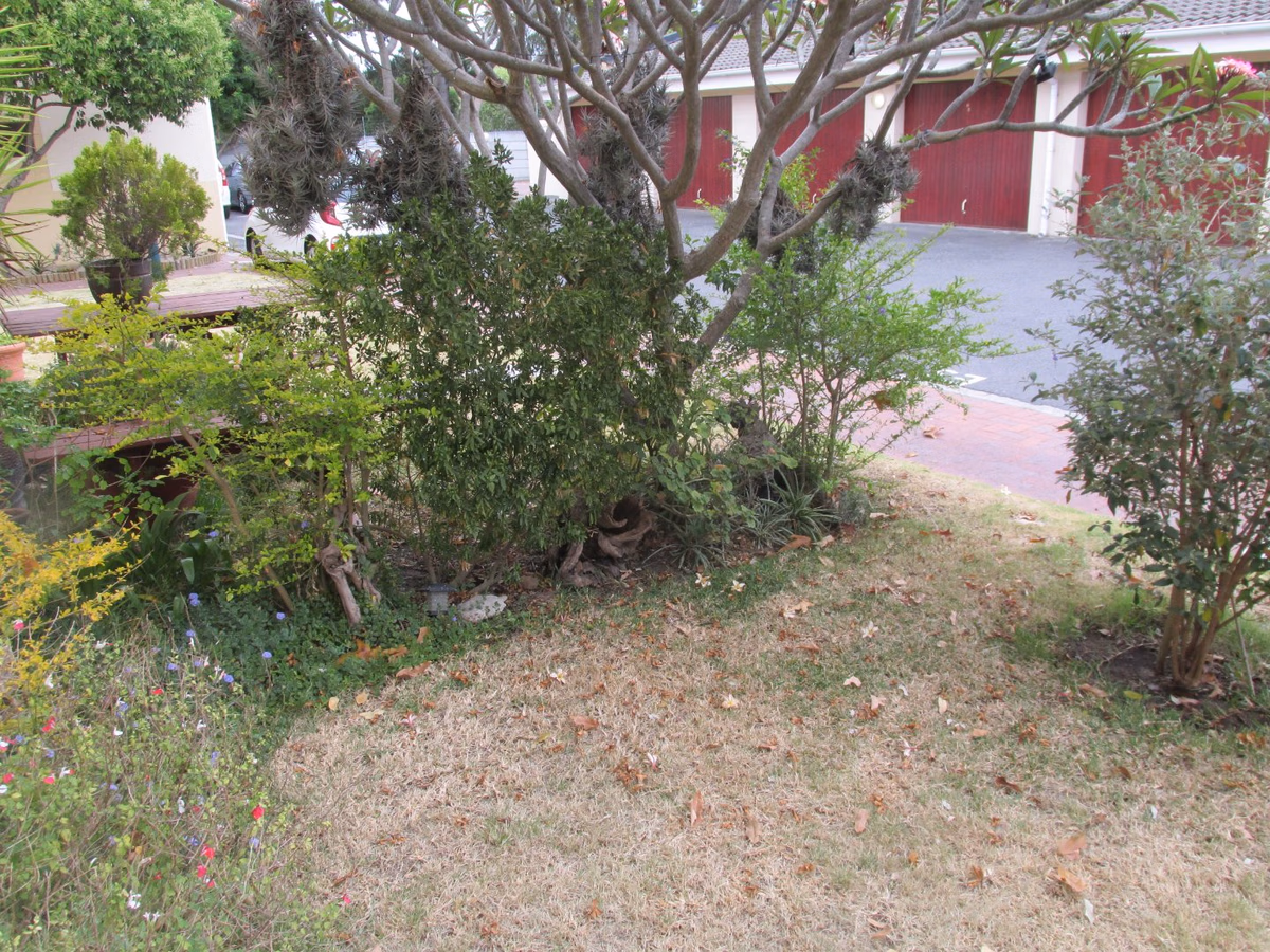 2 Bedroom Flat To Let in Camps Bay