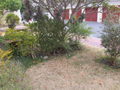 2 Bedroom Flat To Let in Camps Bay
