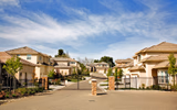 Residential Estate in Pinelands