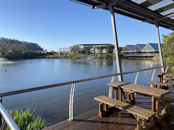 1 Bedroom House For Sale in Newlands West